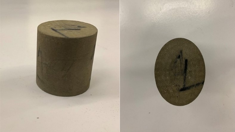 Rock core plug used in CO2 enhanced oil recovery testing